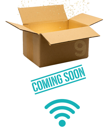 https://paltest.org/wp-content/uploads/2025/06/BOX-e1749128124938-350x427.png