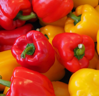https://paltest.org/wp-content/uploads/2026/02/red-and-yellow-peppers.jpg